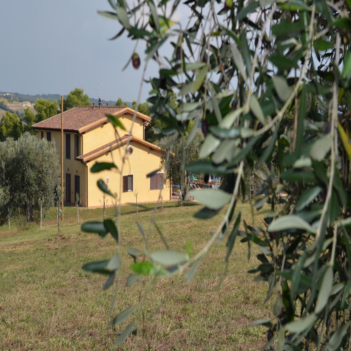 Agriturismo Fontelisa Villa Montiano  Ngoại thất bức ảnh